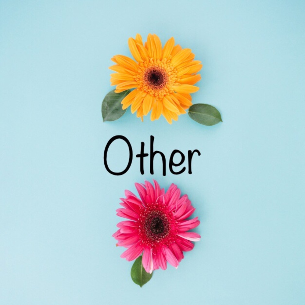OTHER